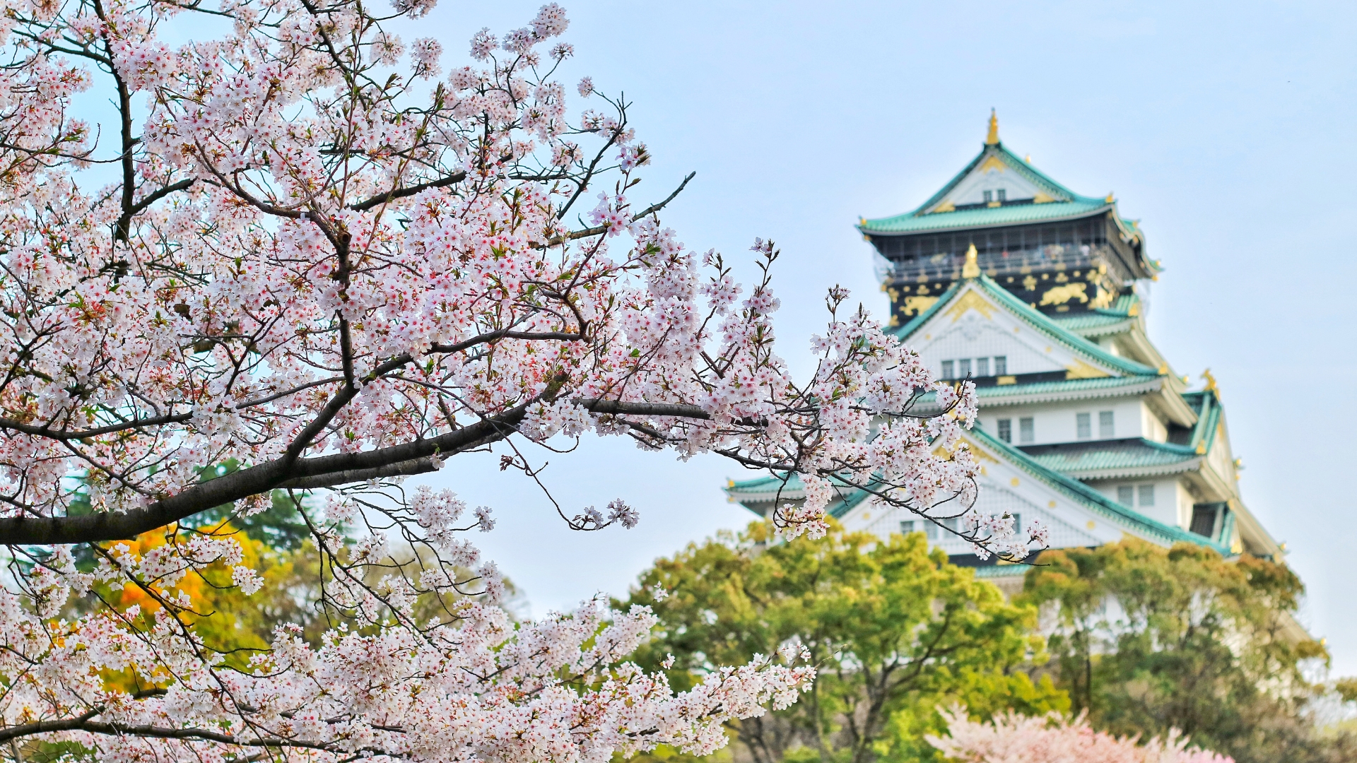 Japan Castle